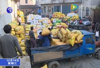 寧化：24715畝河龍貢米開秤收購