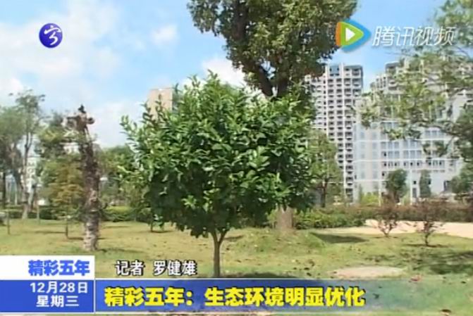 精彩五年：生態環境明顯優化