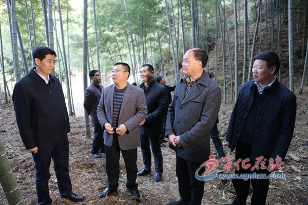 代市長余紅勝到寧化治平畬族鄉調研