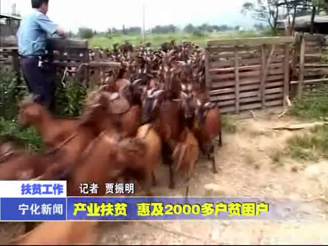 產業扶貧 惠及2000多戶貧困戶