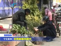 農民新春購苗忙