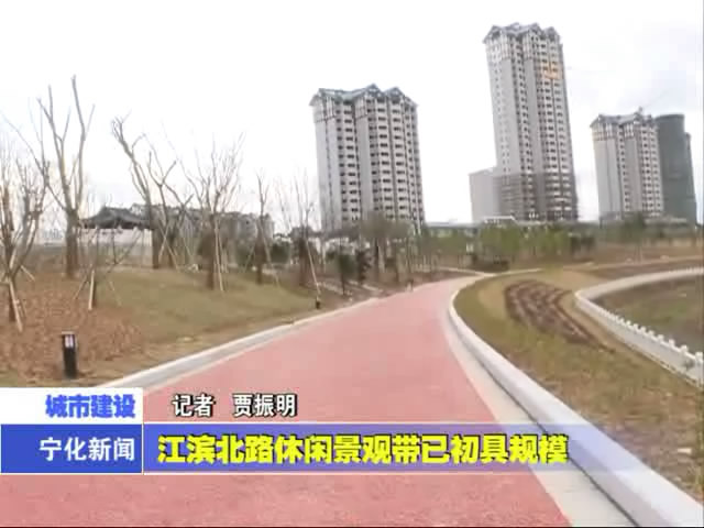 江濱北路休閑景觀帶已初具規(guī)模