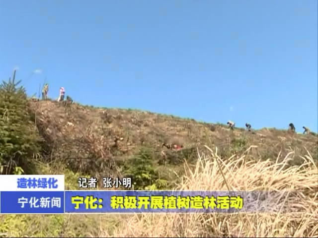 寧化：積極開展植樹造林活動
