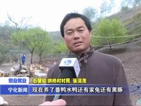 張清茂：回鄉(xiāng)發(fā)展 爭(zhēng)當(dāng)領(lǐng)頭羊