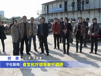 省文化廳領(lǐng)導(dǎo)來寧調(diào)研