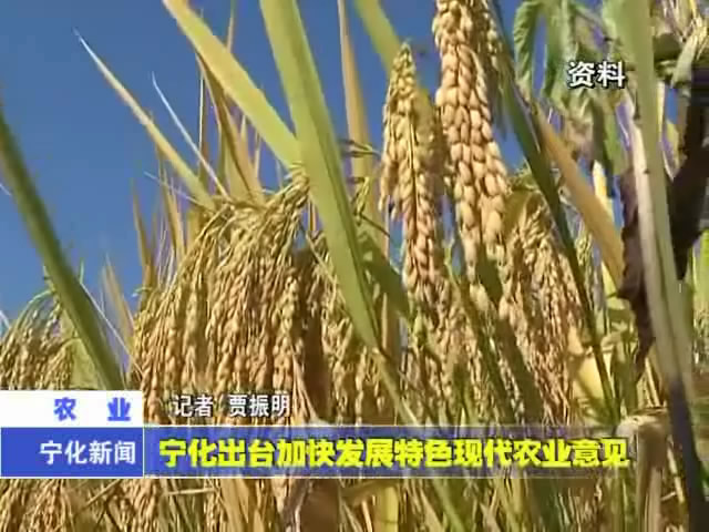 寧化出臺加快發展特色現代農業意見