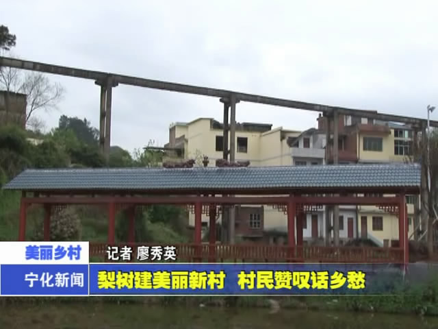 梨樹建美麗新村 村民贊嘆話鄉愁
