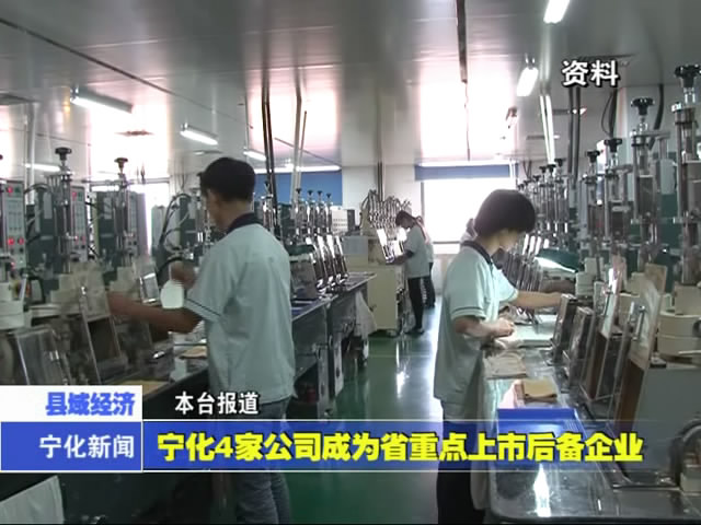 寧化4家公司成為省重點上市后備企業