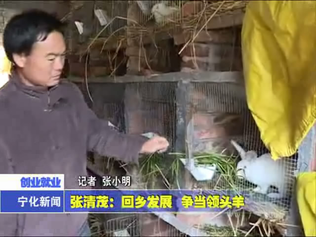 張清茂：回鄉發展 爭當領頭羊