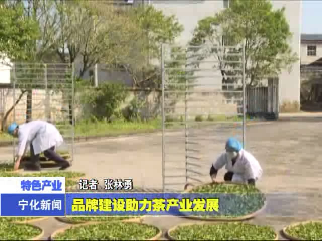 品牌建設(shè)助力茶產(chǎn)業(yè)發(fā)展