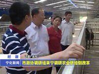 市政協(xié)調(diào)研組來寧調(diào)研農(nóng)業(yè)供給側(cè)改革