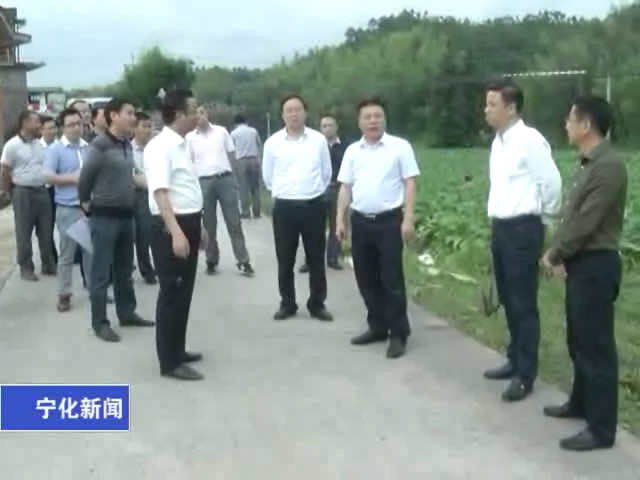 縣領(lǐng)導調(diào)研省市工作檢查迎檢項目