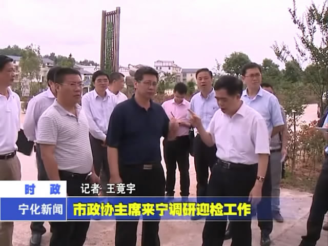 市政協(xié)主席來寧調(diào)研迎檢項(xiàng)目