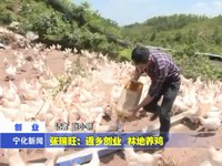 張瑞旺：返鄉(xiāng)創(chuàng)業(yè)  林地養(yǎng)雞