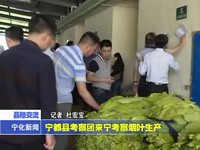 寧都縣考察團(tuán)來寧考察煙葉生產(chǎn)