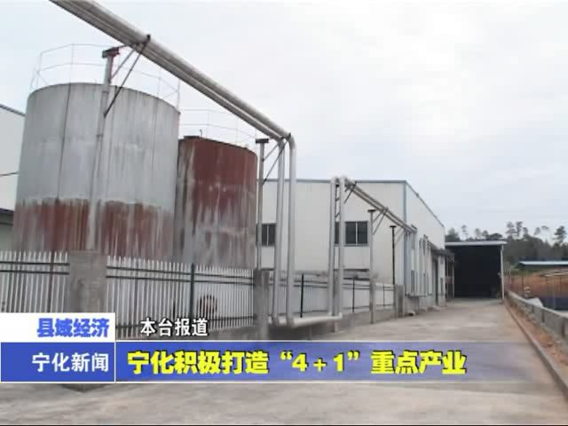 寧化積極打造“4+1”重點產業