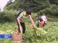 濟村鄉計生會員日學習致富經