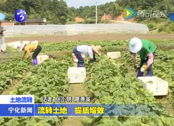 流轉土地  提質增效