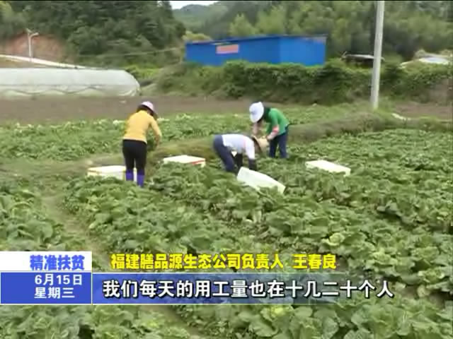 長坊村：依托基地幫助貧困戶精準脫貧