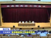 全縣服務業工作會議召開