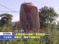 謝新村：陽光下的新農村