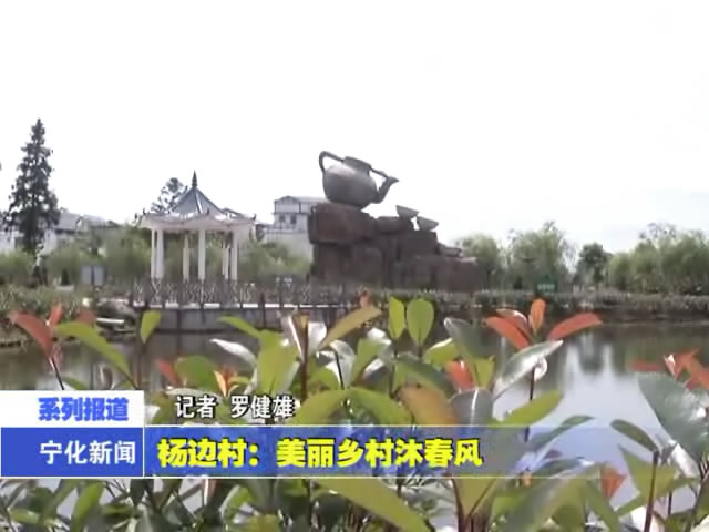 楊邊村：美麗鄉村沐春風