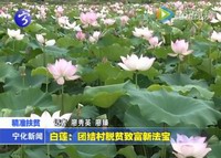 白蓮：團結村脫貧致富新法寶