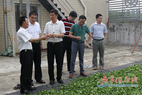 副市長林守欽來寧化調(diào)研