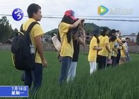 “引鳳計劃”志愿者走進貢米之鄉