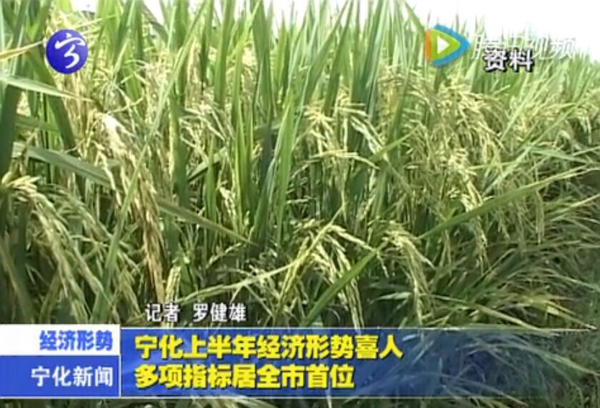 寧化上半年經(jīng)濟(jì)形勢喜人  多項指標(biāo)居全市首位