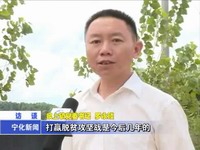 泉上鎮：“三抓三促”為舉措  貫徹落實縣黨代會精神
