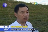 中沙鄉：務實擔當  爭先作為  建設富美新中沙