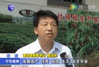 曹坊鎮：強化“六個注重”  搞好“四鎮建設”