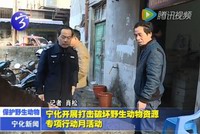 寧化開展打擊破壞野生動物資源專項行動月活動