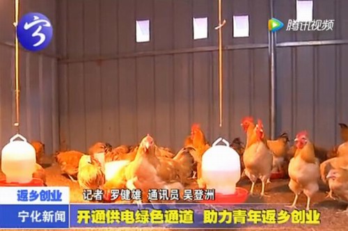 開(kāi)通供電綠色通道 助力青年返鄉(xiāng)創(chuàng)業(yè)