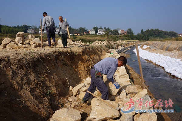 淮土鎮水土流失綜合治理項目有序推進