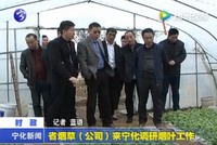 省煙草（公司）來寧化調研煙葉工作