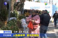 人勤春來早 苗木市場俏