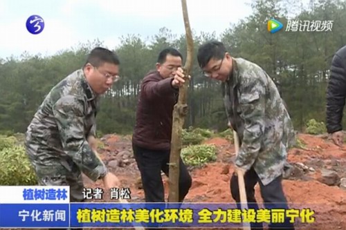 植樹造林美化環境  全力建設美麗寧化