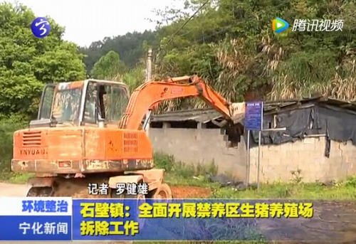 石壁鎮：全面開展禁養區生豬養殖場拆除工作