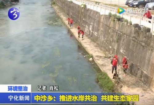 中沙鄉：推進水岸共治  共建生態家園