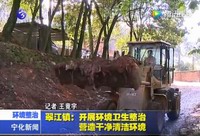 翠江鎮：開展環境衛生整治  營造干凈清潔環境