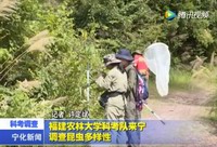 福建農林大學科考隊來寧調查昆蟲多樣性