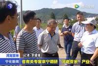 省有關(guān)專家來(lái)寧調(diào)研“河龍貢米”產(chǎn)業(yè)
