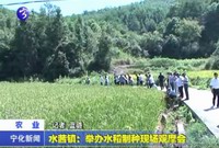 水茜鎮：舉辦水稻制種現場觀摩會