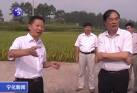 市政協(xié)副主席率調(diào)研組來寧調(diào)研