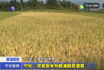 寧化：河龍貢米為精準(zhǔn)脫貧添翼