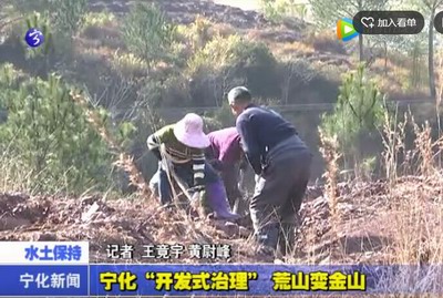 寧化“開發式治理”荒山變金山