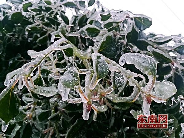 冬日添美景 三明多地降雪現霧凇冰掛 