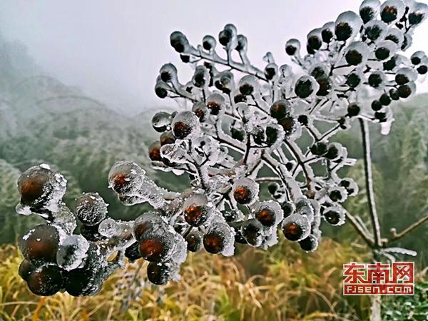 冬日添美景 三明多地降雪現霧凇冰掛 